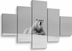 Obraz - Niedźwiedź polarny (125x70 cm)
