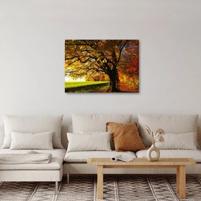 Obraz jesieni (70x50 cm)