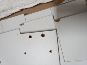 PROMOCJA Biały stół jadalniany z blatem w dekorze dąb sonoma MADO 120x80 II. gatunek