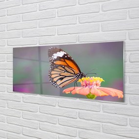 Panel Szklany Detal: Motyl i Kwiat