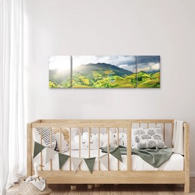 Obraz plantacji (170x50 cm)