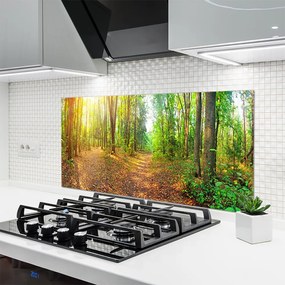 Panel Kuchenny Głusza Starego Lasu