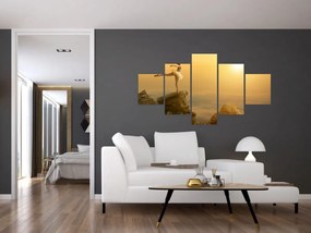 Obraz - Baletnica na skale (125x70 cm)