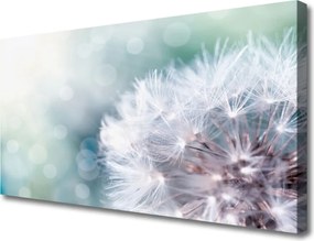 Obraz na płótnie Złocisty Mniszek na Wietrze