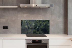 Panel szklany do Kuchni Świerkowe Gałązki