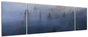 Obraz - Las we mgle, Karpaty, Ukraina (170x50 cm)