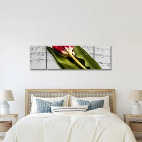 Obraz czerwonego tulipana (170x50 cm)