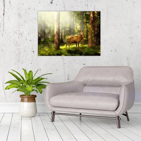 Obraz jelenia w lesie (70x50 cm)