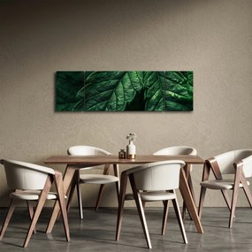 Obraz - Szczegół arkusza (170x50 cm)
