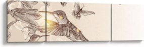 Obraz - Kolibry (170x50 cm)