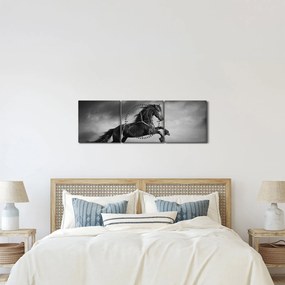 Obraz - Czarny i biały koń (z zegarem) (90x30 cm)