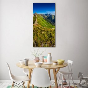 Fotoobraz szklany na ścianę do salonu Tatry