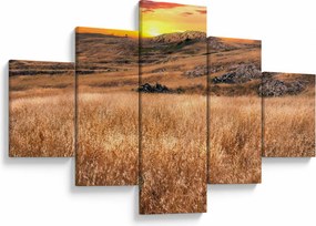 Obraz pola (125x70 cm)