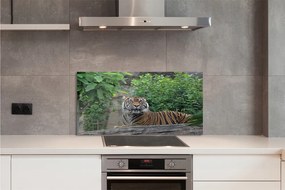 Szklany Panel Tygrys w Sercu Lasu