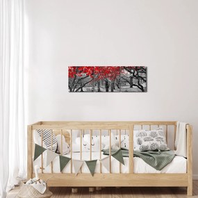 Obraz - Czerwone drzewa, Central Park, New York (z zegarem) (90x30 cm)