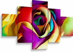 Obraz - Kolorowa róża (125x70 cm)