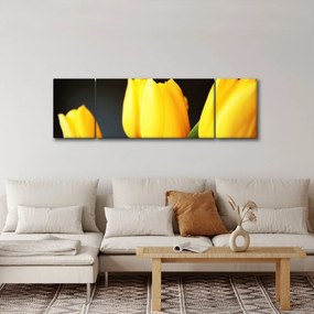 Obraz tulipanów (170x50 cm)