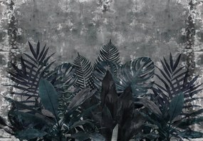 Fototapeta - Rośliny w ciemności (196x136 cm)