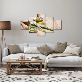 Obraz - Aloes (125x70 cm)