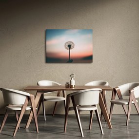 Obraz - Trzymam cię, dmuchawcu (70x50 cm)