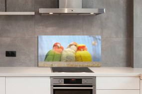 Panel Kuchenny Szklany Feeria Barw Tropikalnych Papug
