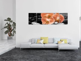 Obraz - Pomarańczowe orchidee (170x50 cm)
