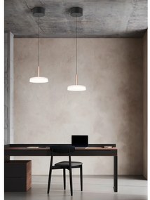 Lampa wisząca LED w czarno-biało-złotym kolorze ze ściemniaczem i szklanym kloszem ø 22 cm Celeste – Trio