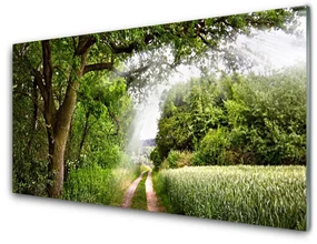 Obraz Szklany Drzewa Ścieżka Natura