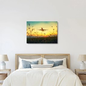 Obraz na szkle - startujący samolot (70x50 cm)