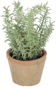 Sztuczna roślina (wysokość 21,5 cm) Thyme – Esschert Design
