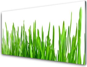 Panel Kuchenny Polna Trawa O Złotej Godzinie