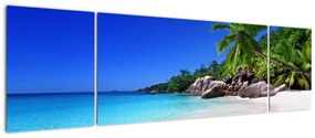 Obraz plaży na wyspie Praslin (170x50 cm)