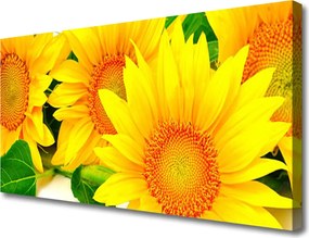 Obraz canvas Bezkresne Pole Słoneczników