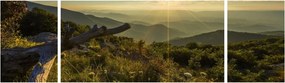 Obraz - Widok na otoczenie (170x50 cm)