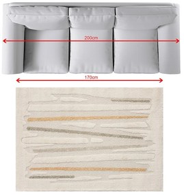 Dywan Stripes II 120x170 cm
