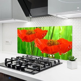 Szkło Ozdobne do Kuchni Klasyczne Maki W Rozkwicie