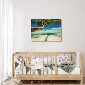 Obraz na szkle - Czyste morze z palmą (70x50 cm)