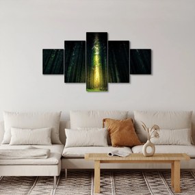 Obraz ciemnego lasu (125x70 cm)