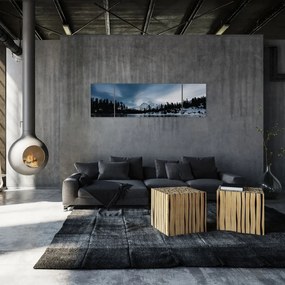 Obraz - Na zamarzniętym jeziorze (170x50 cm)