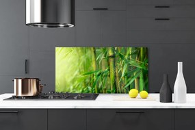 Panel Kuchenny Świeże Pędy Zielonego Bambusa