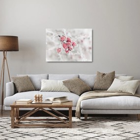 Obraz na szkle - Mrożone owoce (70x50 cm)
