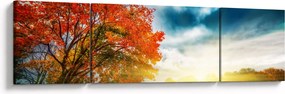 Obraz skąpanego w słońcu krajobrazu (170x50 cm)