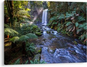 Obraz australijskiego lasu deszczowego (70x50 cm)