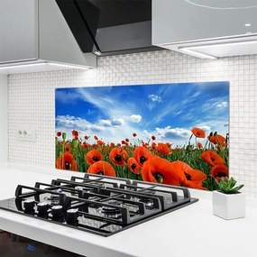 Panel Szklany Czerwone Maki w Blasku Słońca