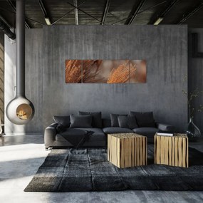 Obraz - Kortaderia (170x50 cm)