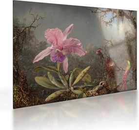 Obraz na szkle - Martin Johnson Heade, Cattleya Orchid and Three Hummingbirds, reprodukcje (70x50 cm)
