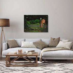 Obraz na szkle - wizerunek jelonka (70x50 cm)