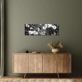 Obraz - Pajęczyna na łące (z zegarem) (90x30 cm)