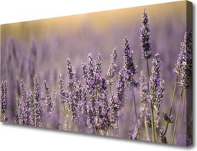 Obraz canvas Wiosenny Powiew Kwiatów