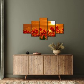 Obraz kwitnącego pola z tulipanami (125x70 cm)